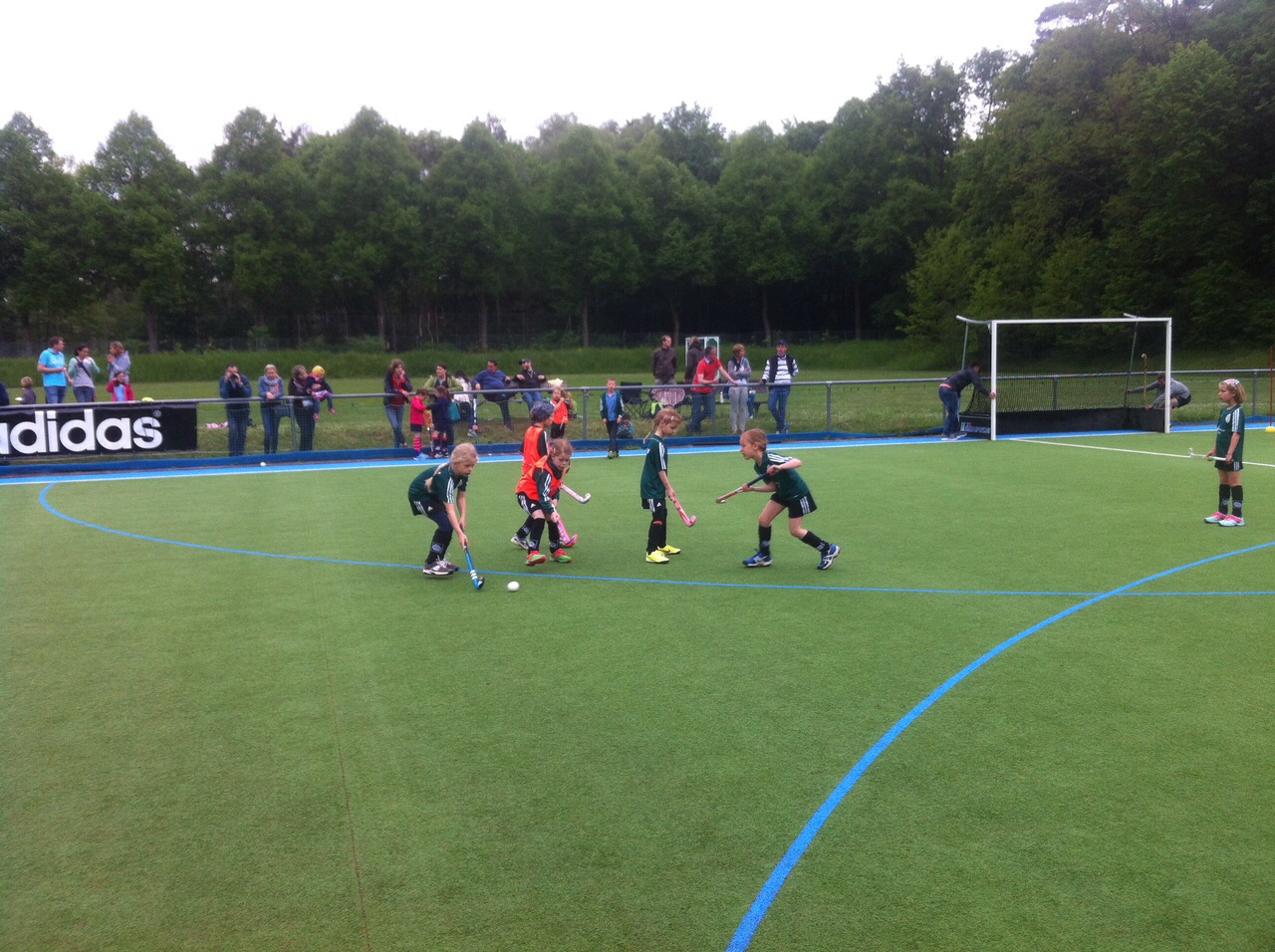 Start in die Feldsaison 2015 - die Mädchen D des 1. Hanauer THC e.V.